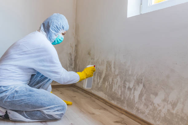 Best Crawl Space Mold Removal  in Center Point, IA
