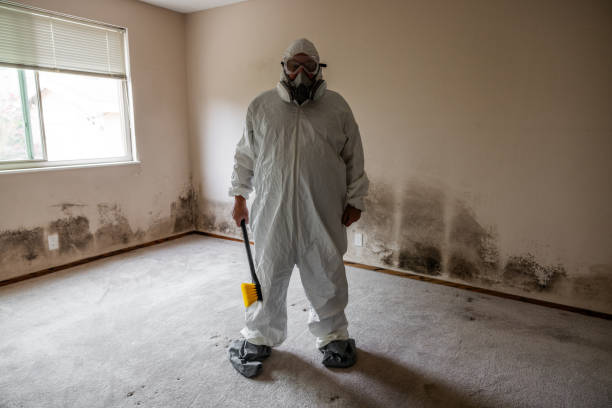 Best Local Mold Removal Service  in Center Point, IA